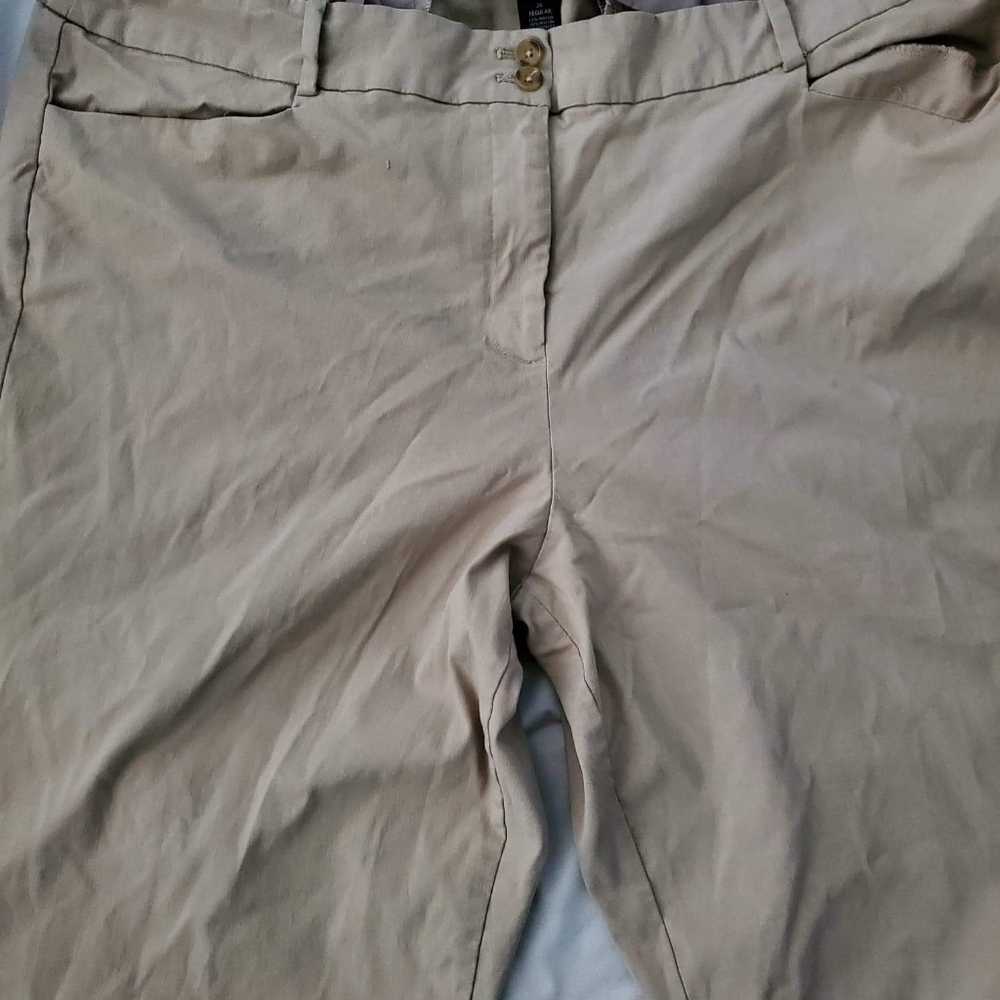 Lane Bryant Khaki Pants